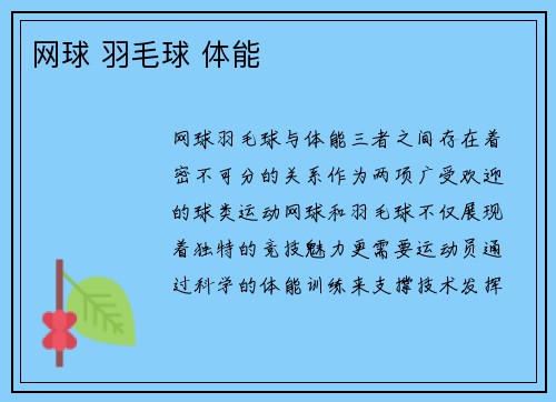 网球 羽毛球 体能